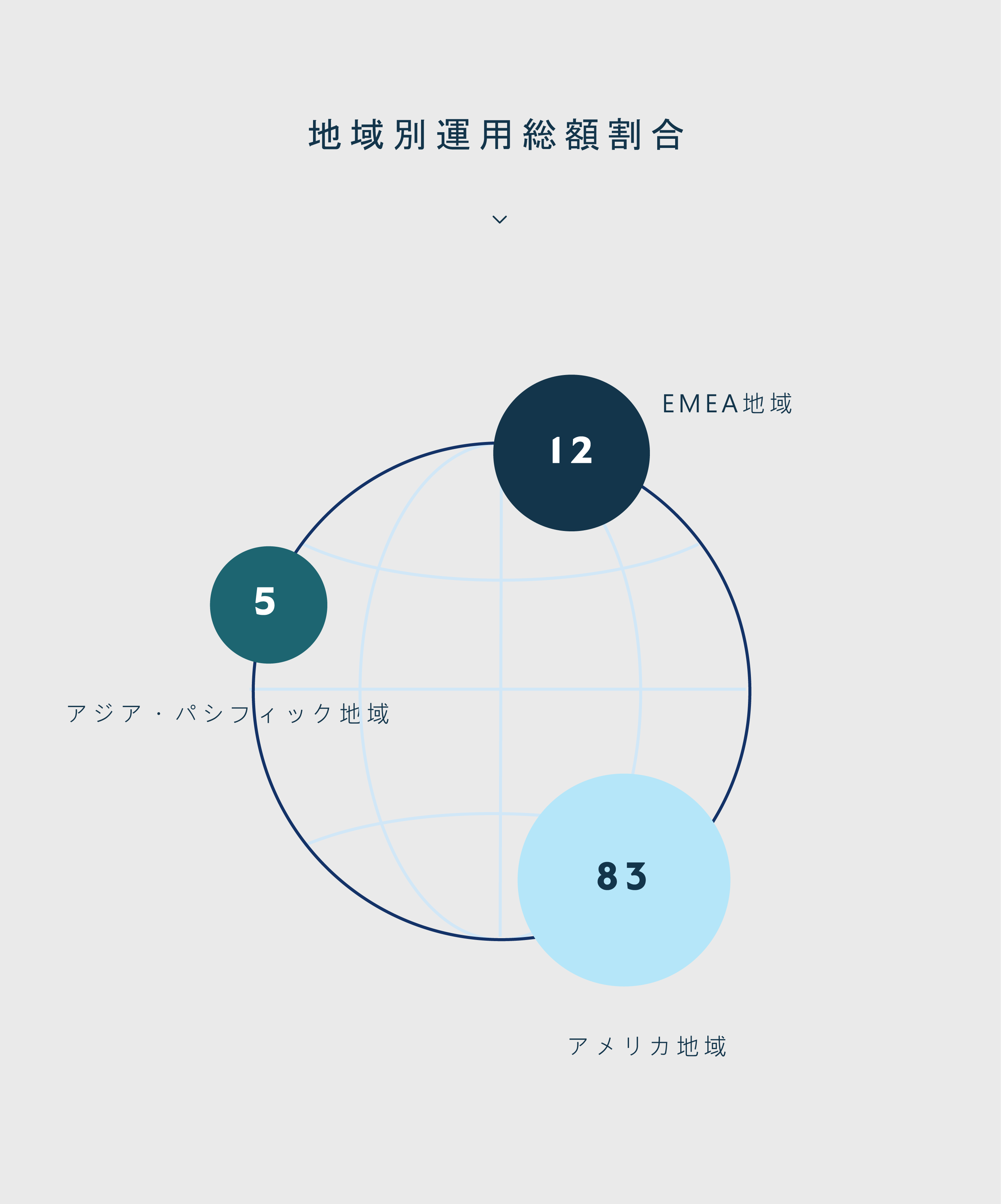 AUM by Geography - Japanese